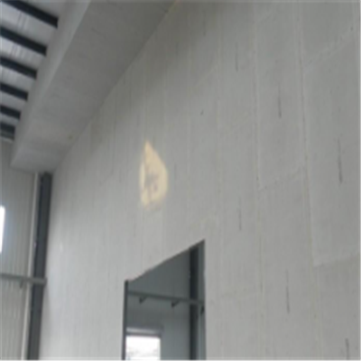 沈丘宁波ALC板|EPS加气板隔墙与混凝土整浇联接的实验研讨